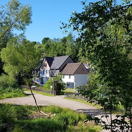 Naturferienhaus Luppbodemuehle Allrode Exterior photo