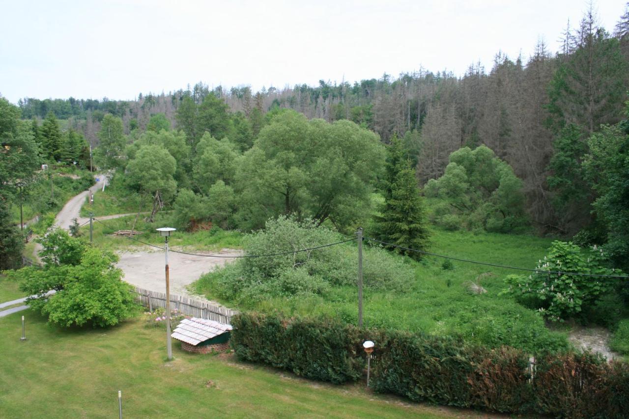 Naturferienhaus Luppbodemuehle Allrode Exterior photo