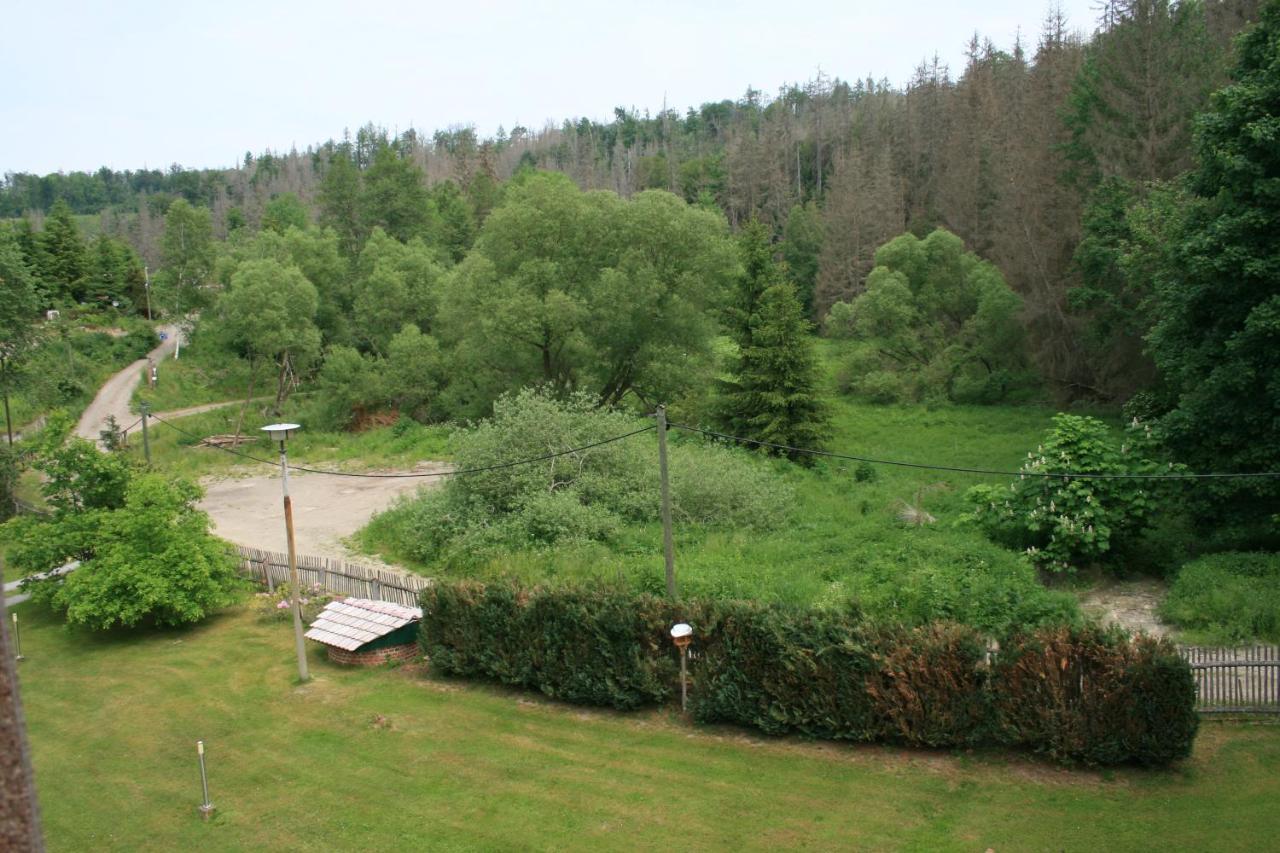 Naturferienhaus Luppbodemuehle Allrode Exterior photo